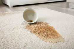 1 La façon d'éliminer les nouvelles taches de café sur les tapis